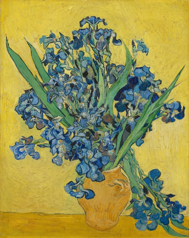 Vincent van Gogh - Irises